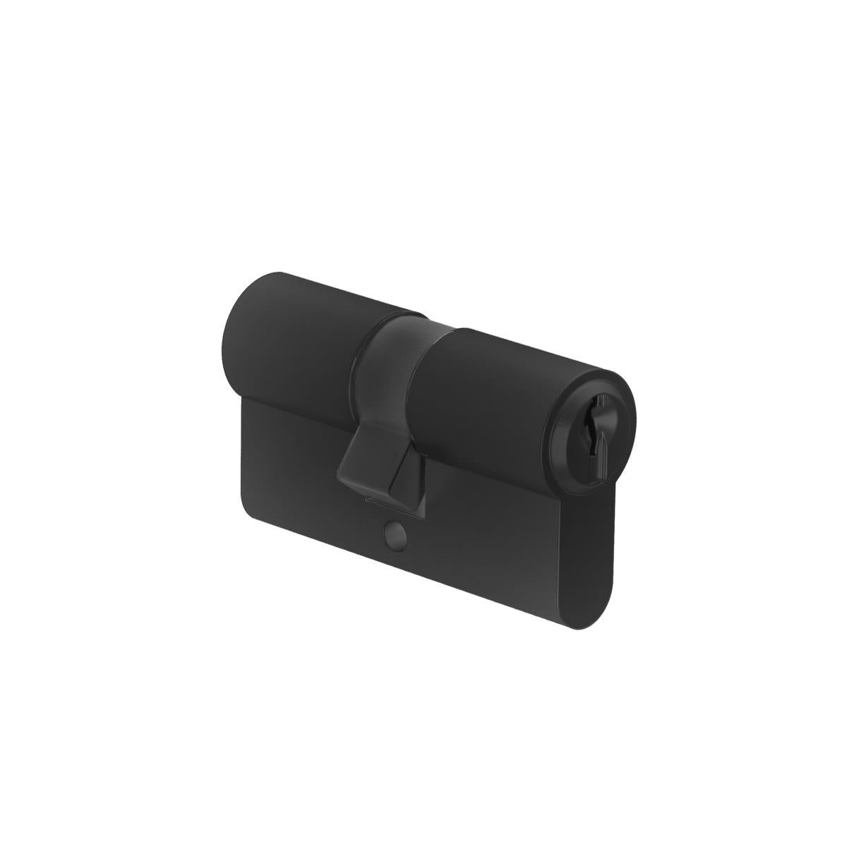 Double lock cylinder 30/30mm, black