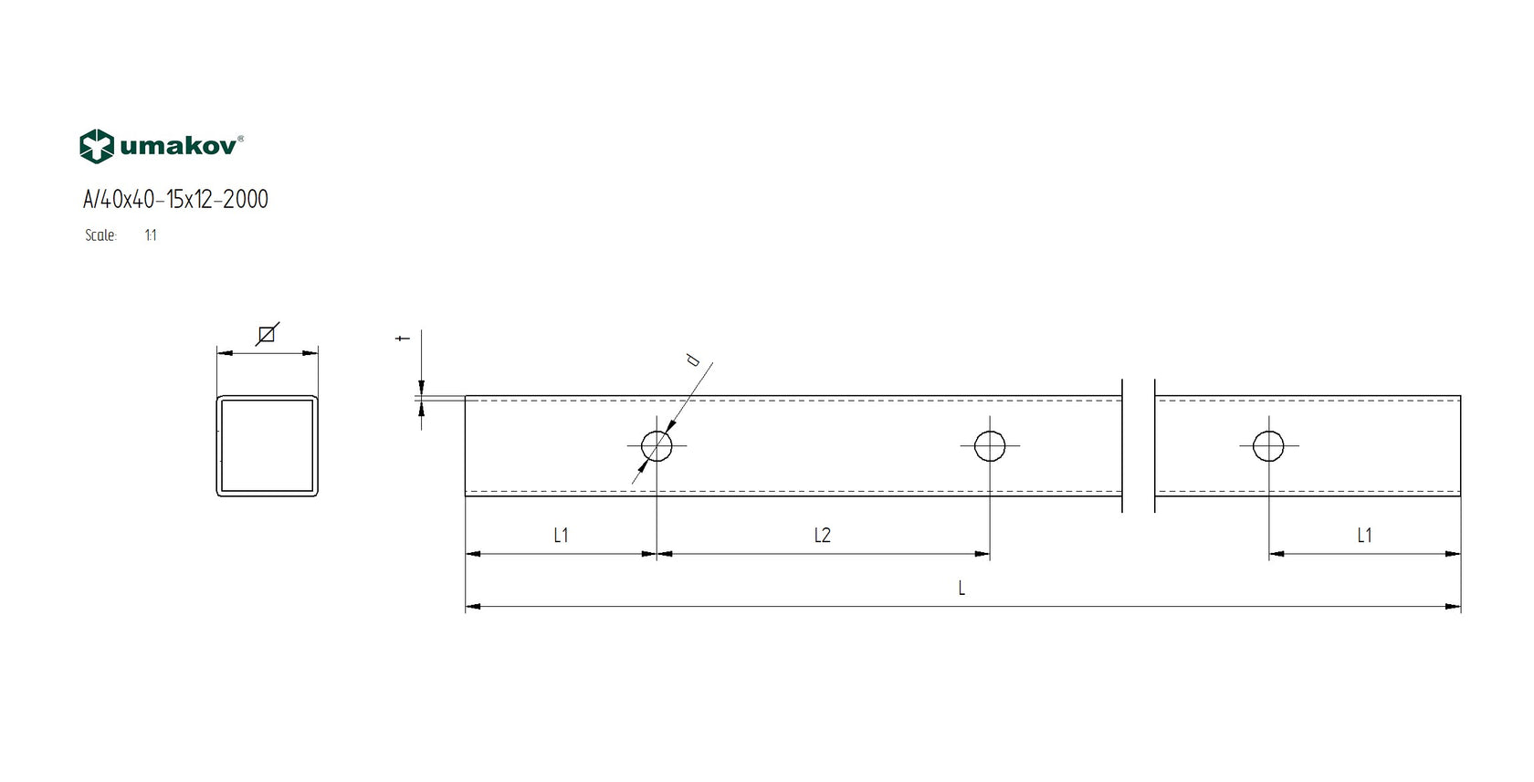 Brushed pipe AISI304, 40x40x2/15xd12,5/L1980