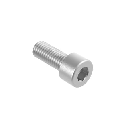 Zylinderschraube mit Innensechskant, AISI304, M10x60