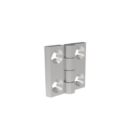 Hinge for gates INOX, AISI 316, L=60mm