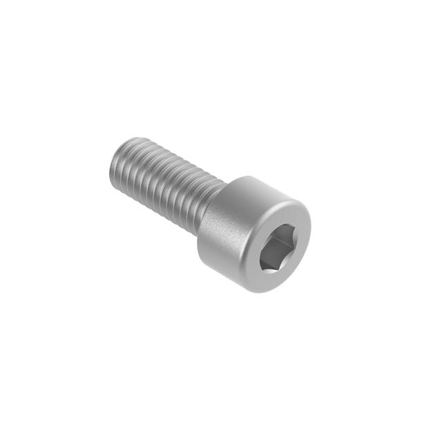 Hexagon socket head cap screw, galvanized, M6x20, Zn