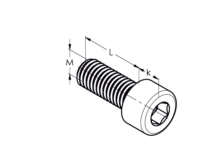 Hexagon socket head cap screw, AISI304, M12x40