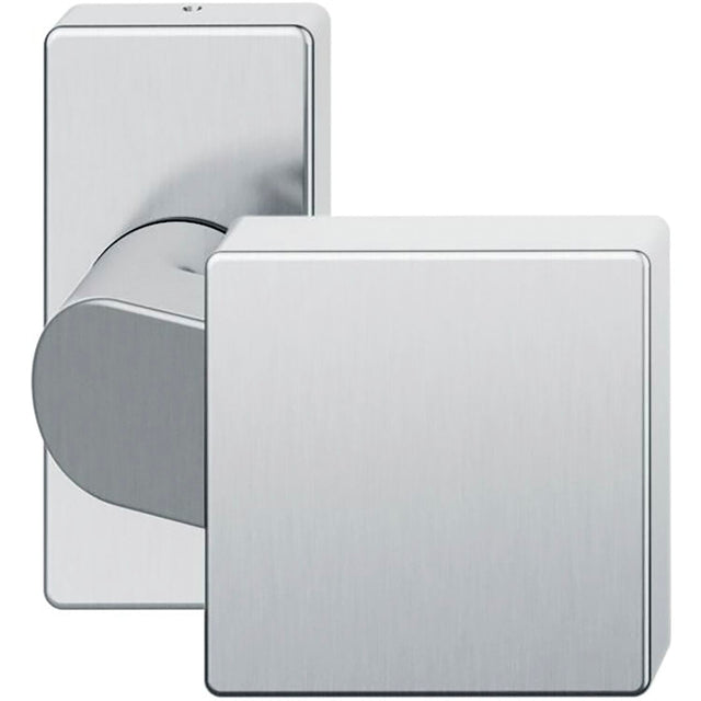 Door handle with plate, AISI 304, K320, fix