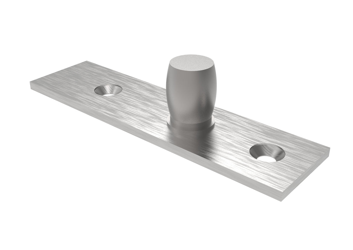 Upper hinge with pivot.