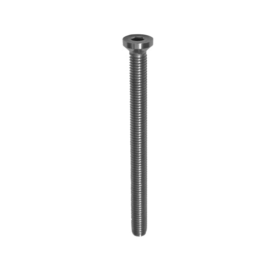 Stainless steel screw M5x16 AISI316, M8x100mm