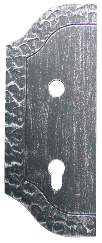 Decorative plate for gates 265x105, t3, a90, D19mm