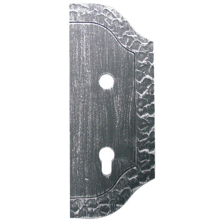 Decorative plate for gates 265x105, t3, a90, d19mm